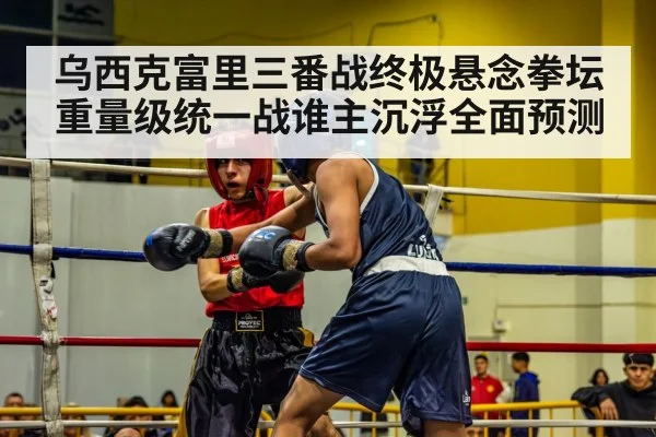 乌西克富里三番战终极悬念拳坛重量级统一战谁主沉浮全面预测